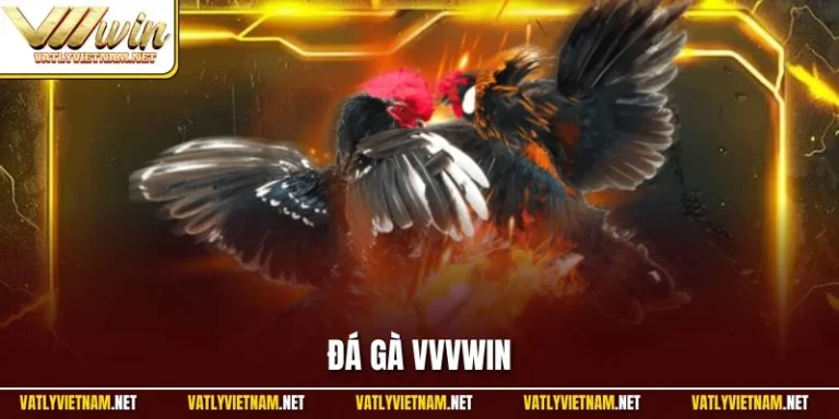 Đá gà trực tuyến